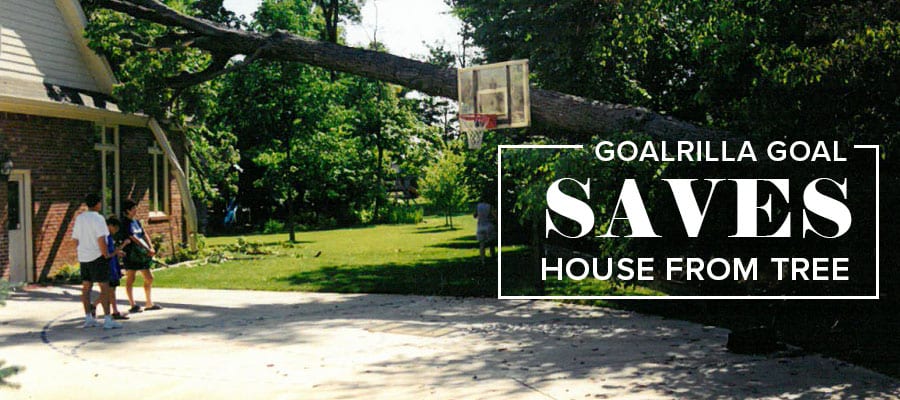 Goalrilla Strength Saves House from Tree