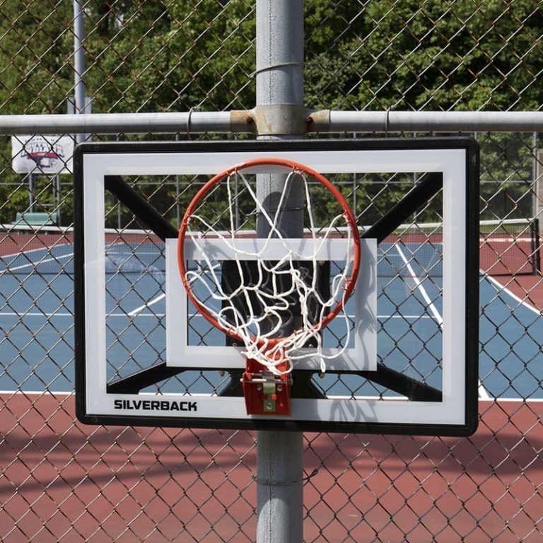 silverback basketball hoop